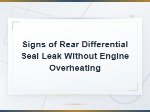 Signs of Rear Differential Seal Leak Without Engine Overheating
