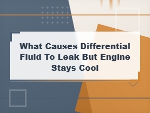 Differential Fluid Leak with Cool Engine: Common Causes and Symptoms