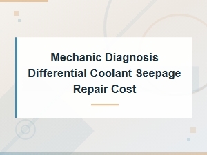 Mechanic Diagnosis Differential Coolant Seepage Repair Cost